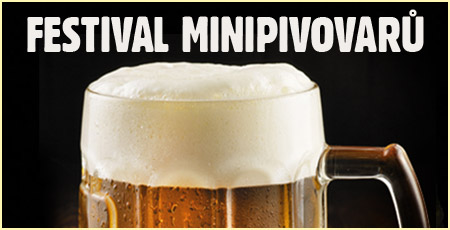 FESTIVAK MINIPIVOVARŮ náhled