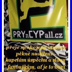 PRYnCYPall PF 2013