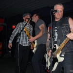 Street dogs 016